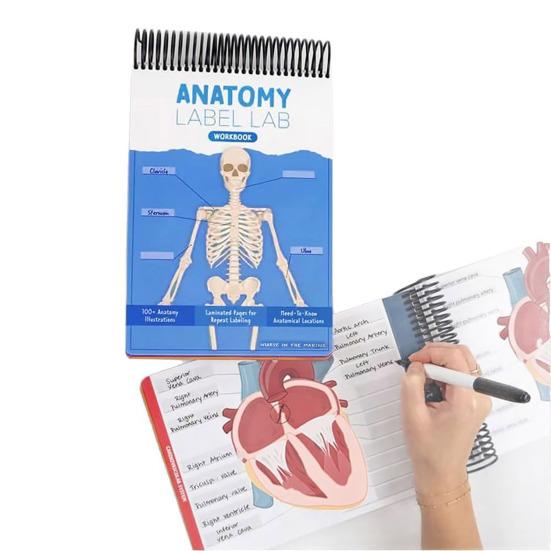 Anatomie Popisky Laboratorní Pracovní sešit 100+ Ilustrací Lidské Anatomie Pracovní sešit pro Učení Fyziologie pro Studenty Medicíny Lékaře Zdravotní Sestry