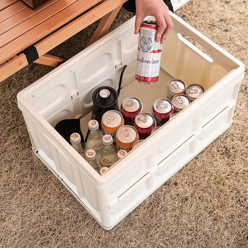 FTLY 55L Folding Camping Storage Box