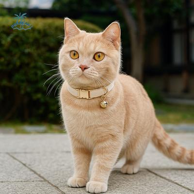 Durable Adjustable Cat Collar with Bell Metal Buckle Solid Color Pet Dog Collar Personalized Cat Necklace Outdoor