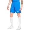 Nike Dri-FIT Quick Dry Futbolo Treniruočių Šortai Vyrams Apačia Mėlyni BV6855-463