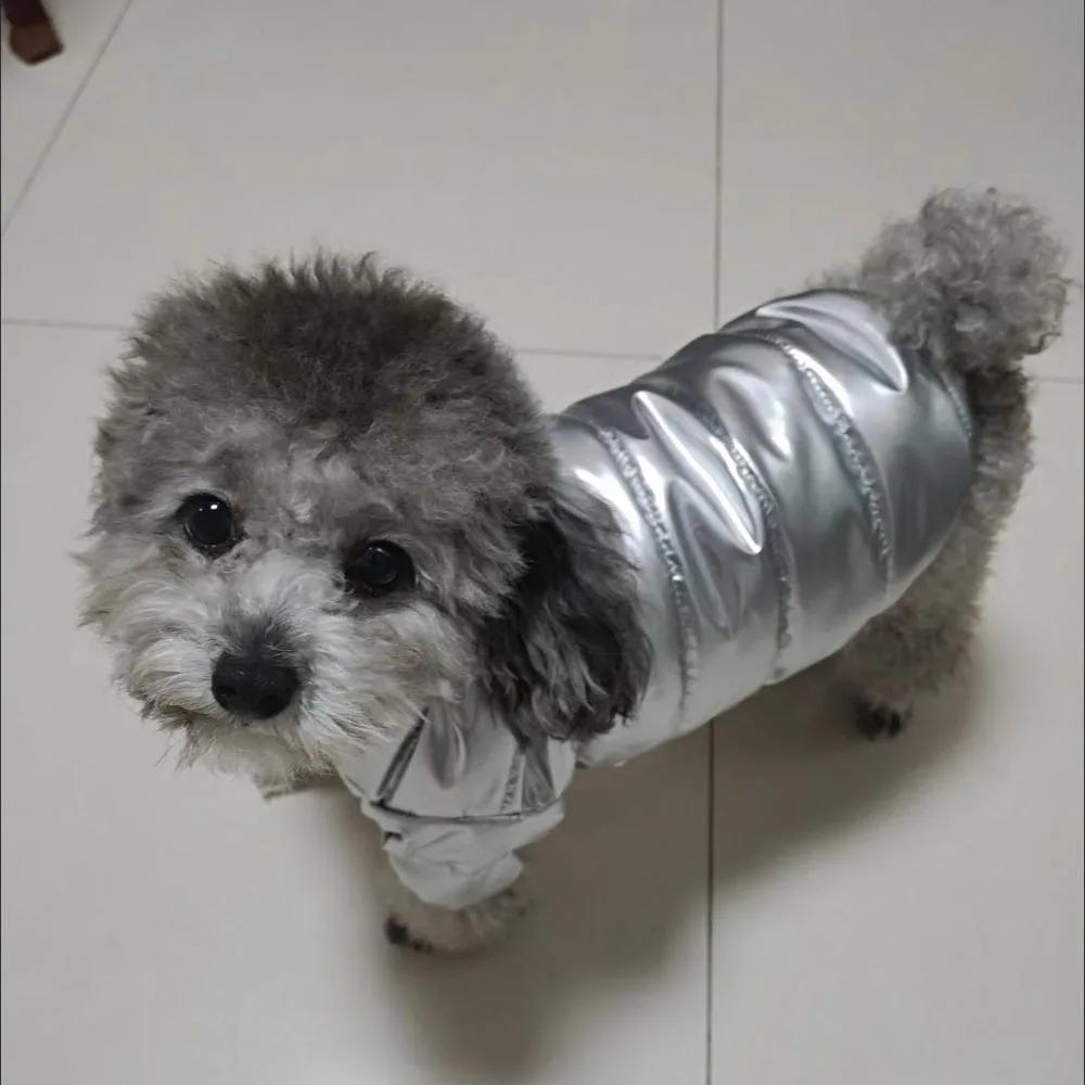 Thicken Winter Dog Clothes Windproof Pet Coat Outfits Puppy Jacket Clothing  French Bulldog