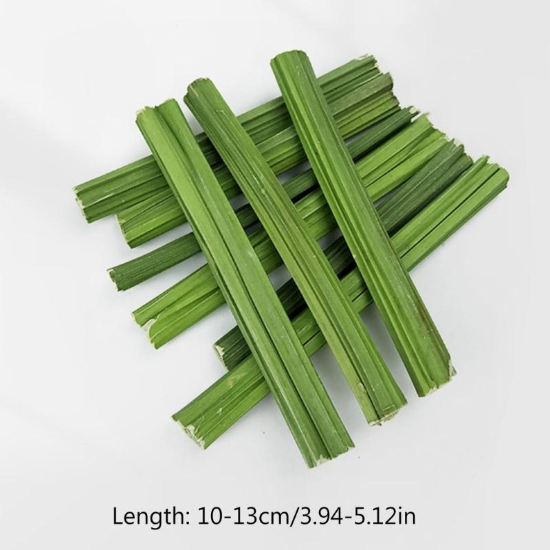 Rabbit Chew Toy For Teeth Hamsters Chew Stick Small Animal Chew Stick  Papayas Molar Stick For Rabbit Hamsters Chew Toy