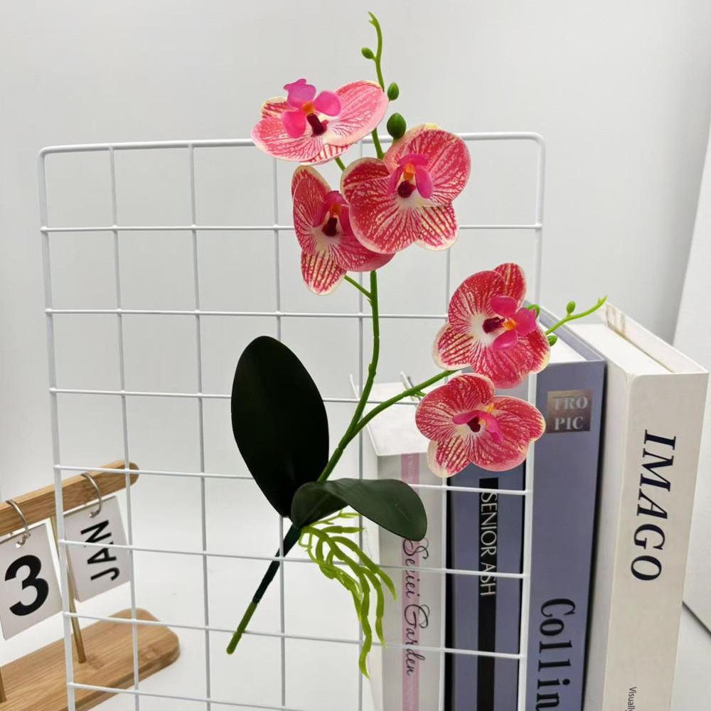Phalaenopsis Flower Artificial Wedding Photography Props Party Gift Decorations