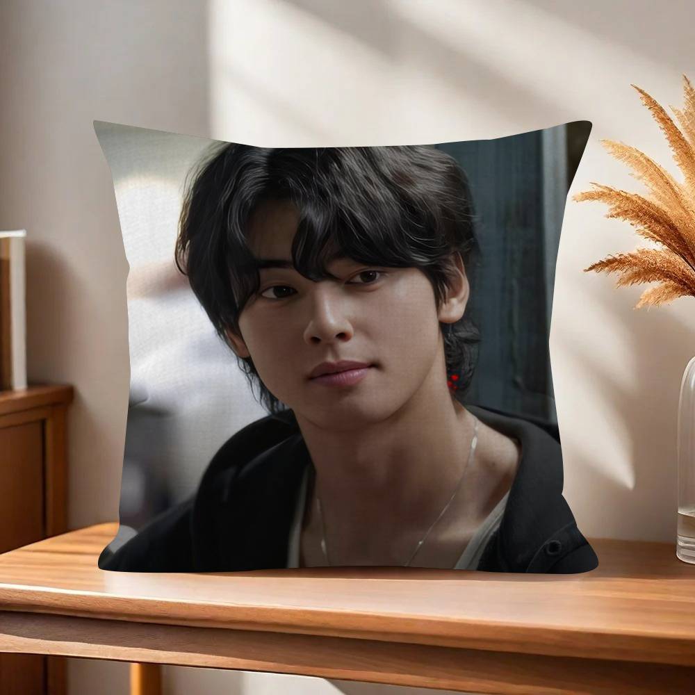 Singer Cha Ido EunWoo  45*45cm Cushion Cover Pillow Cover Decor Pillowcase Home Pillowcase for Couch Pillow