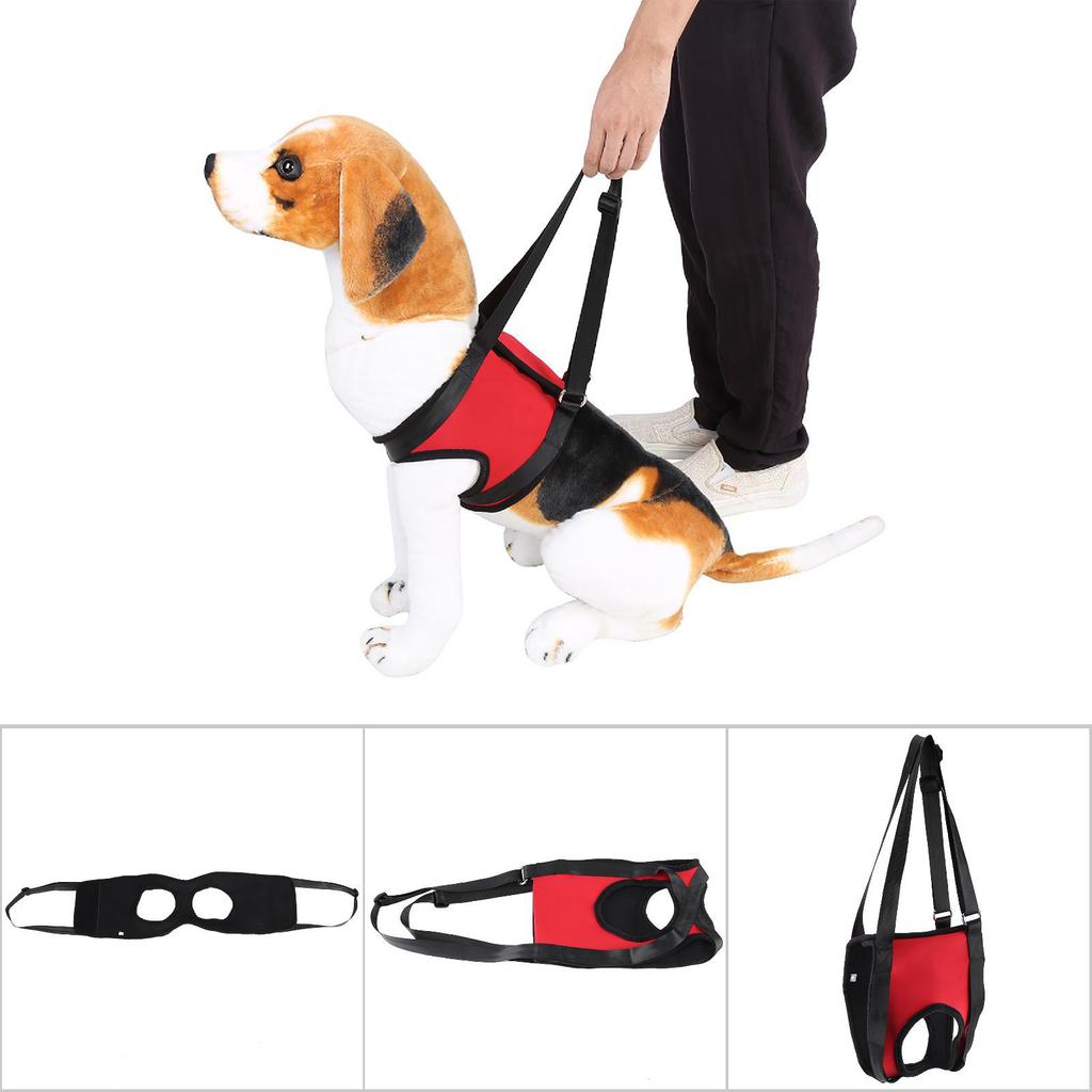 Front Dog Leg Support Harness Walking Aid Lifting Pulling Vest for Old & Injured Dogs (S)