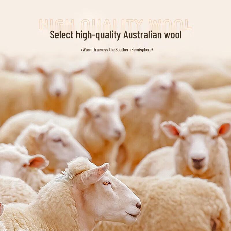 

Mengjie Home Textiles Antibacterial Australian Wool All-Season Quilt