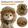 Funny Pet Costumes, Cats And Dogs Transformed Into Funny Holiday Costumes, Wild Hats And Headgear