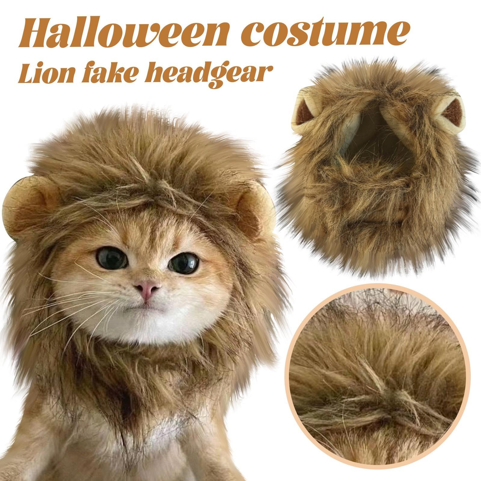 

Funny Pet Costumes, Cats And Dogs Transformed Into Funny Holiday Costumes, Wild Hats And Headgear A