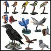 MOC Animal Oiseau Corbeau Martin-pêcheur Pigeon Biset Ensemble de Briques de Construction Modèle Rouge-gorge Aigle Briques d'Assemblage Jouets Anniversaire Cadeaux de Noël