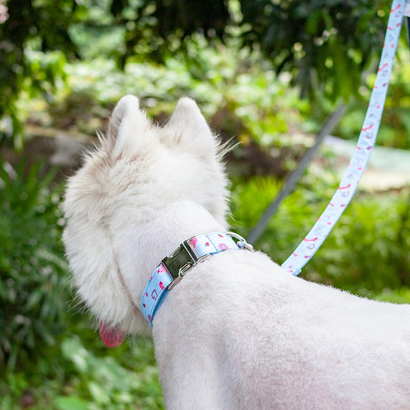 Macaron Ice Cream Laser Engraved Dog & Cat Collar
