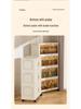 Multi-layer Folding Plastic Storage Cabinet: Shoe, Toy, and Medicine Organizer for Living Room