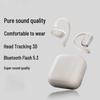 WITMIND Bluetooth Ear Hook Sports Earbuds