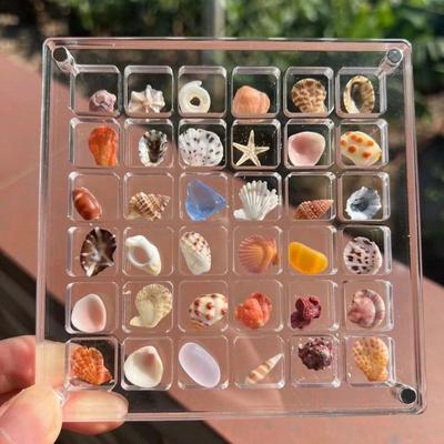 Natural Mini Conch, Shell Starfish, High Transparency Acrylic Storage Box, Material Box, Micro Shell Sand Specimen, Seaside Gift