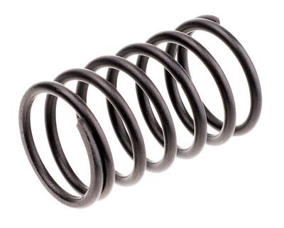 Ventilfeder Cedrus Motor Y196V Y145V 480492