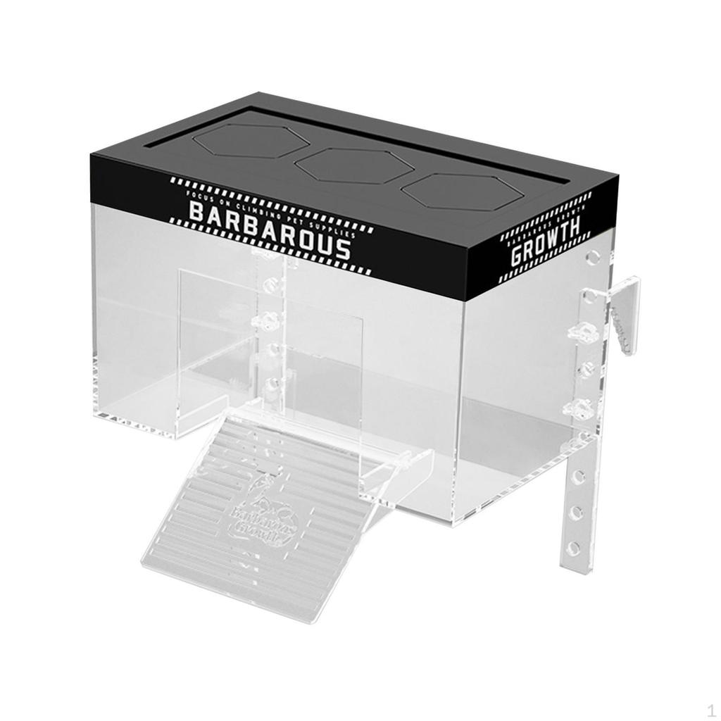 Aquatic Turtle Basking Area with Lid and Dock Setup