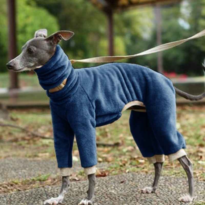 greyhound fleece