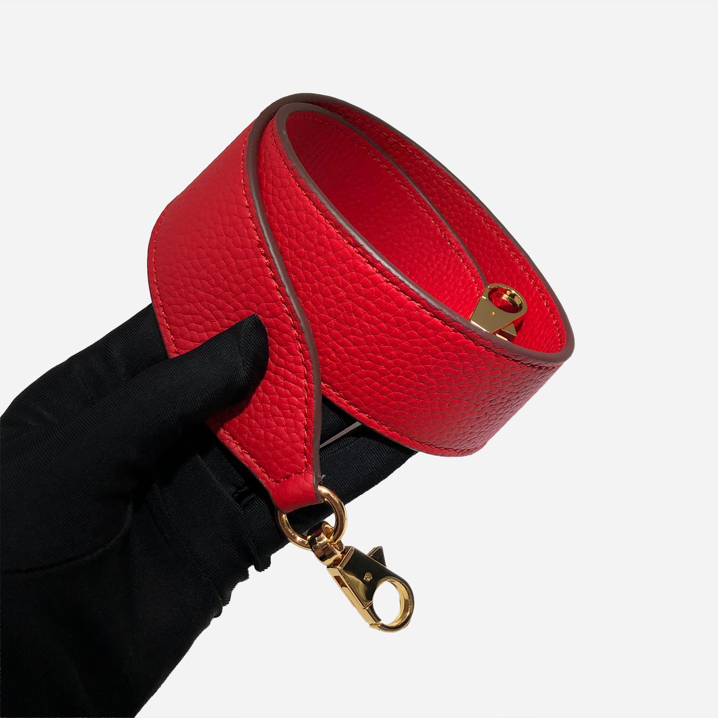 Sangles d'épaule en cuir véritable Sacs Sangle de remplacement Pour accessoires de sac à main Sacs pour femme Sac de créateur de luxe Silver buckle
