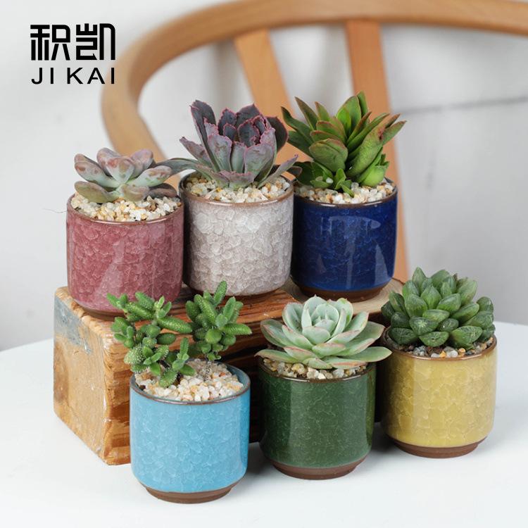Jikai ice cracked succulent flower pot foreign trade colorful open piece ceramic gardening creative office desktop combination green plant pot 6