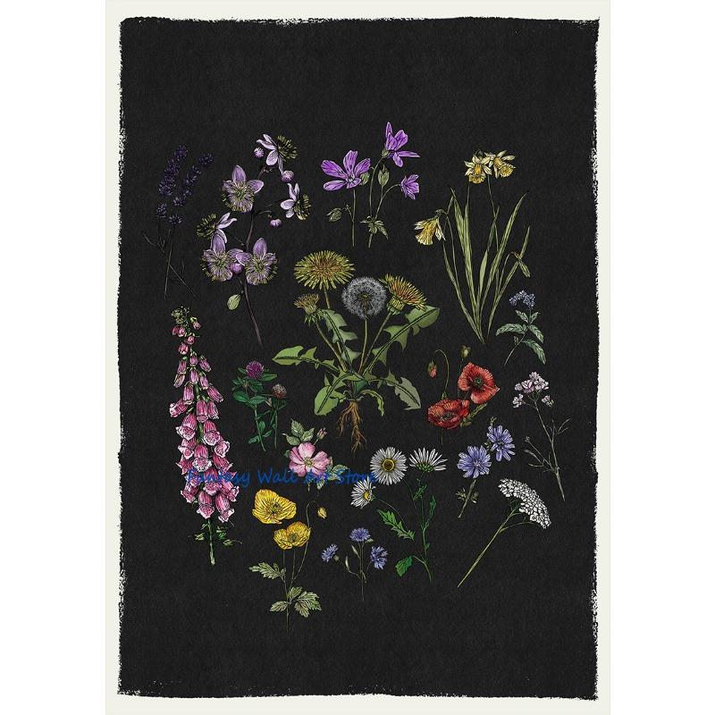 Retro Botanical Artworks British Trees Foraging Wild Food Mushrooms Wildflowers Poster Canvas Painting Wall Pictures Home Decor