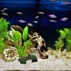 Aquariums Fish Hide Cave Decoration Turtles Hidings Cave Fish Hide Habitat for Aquatics Turtles and Reptiles