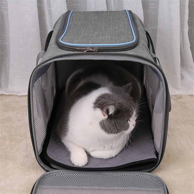 Wiederverwendbare Haustier-Pipi-Unterlage Maschinenwaschbar Rutschfest & Saugfähig Töpfchentrainingsmatte