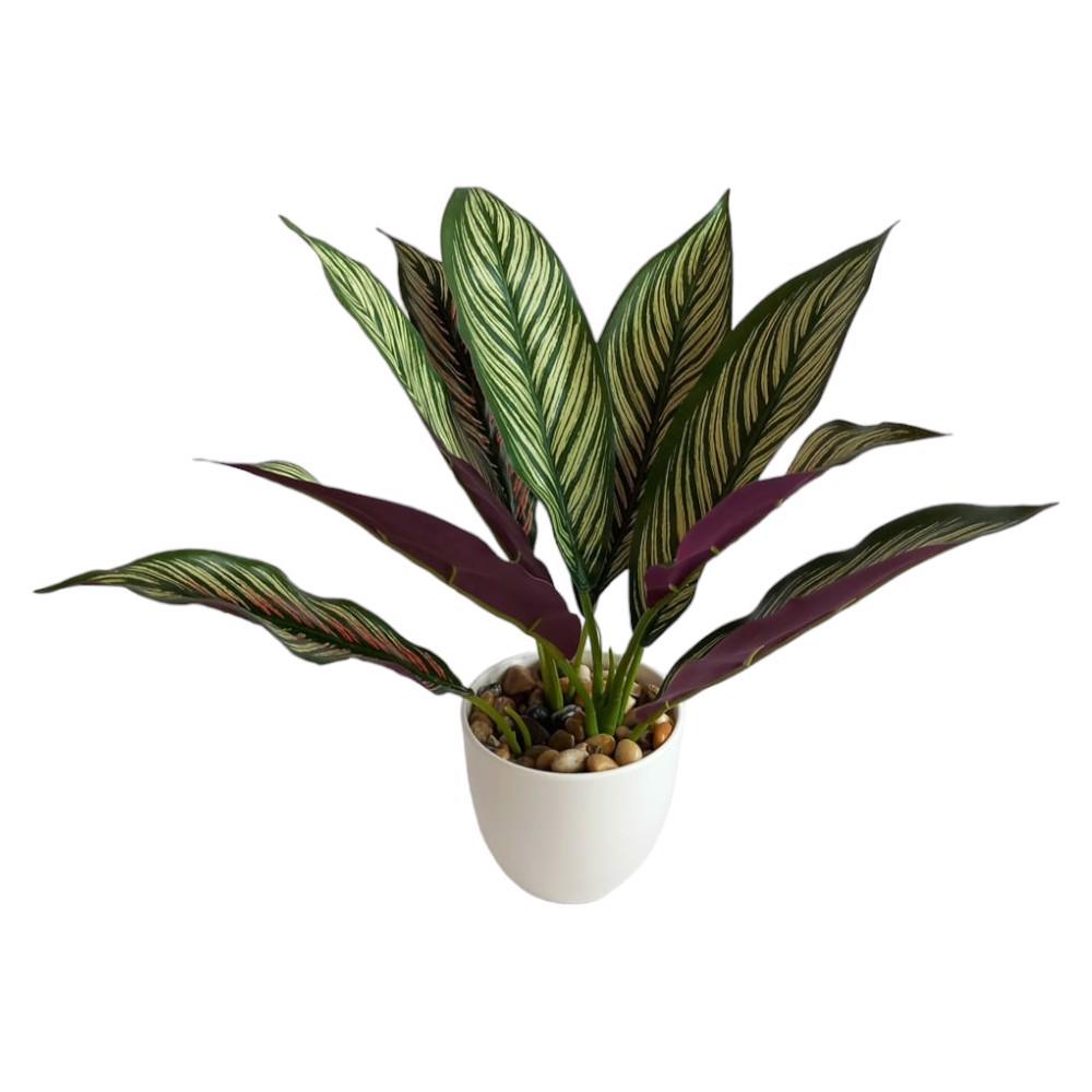 Sztuczny Kwiat W Doniczce Roślina Ozdobna Calathea Jak Żywa Dekoracja 33Cm