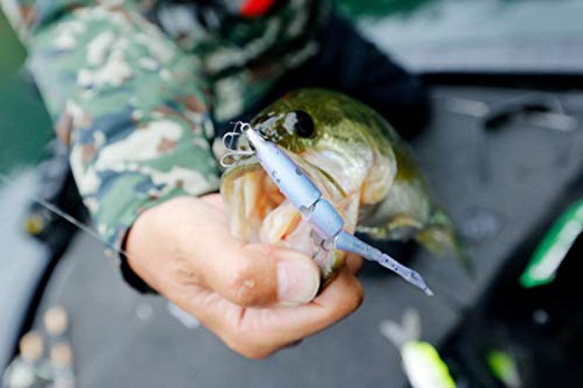 SHIMANO Bantam Bt Bait 99SS Kyoringill 013 Freshwater Lure Plug for and Rivers (SHIMANO) ZR-599T Bass, Lakes, Dams, Ponds,