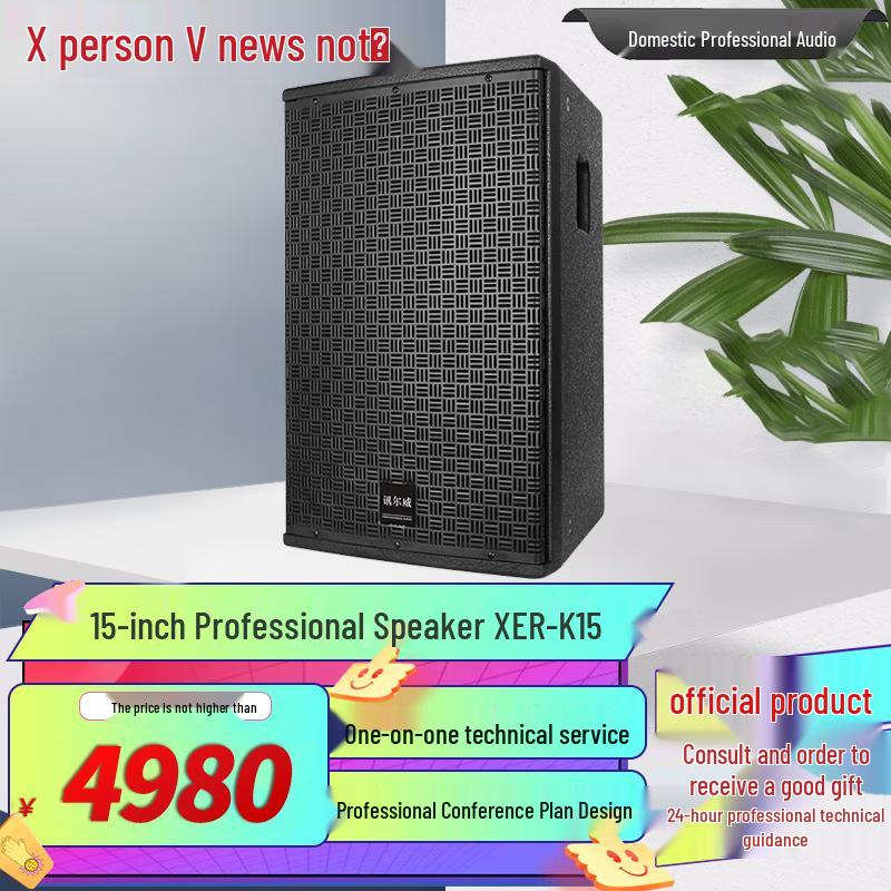 Xun'erwei HXHX-K15 Professional 15-inch Full-Range Conference Speaker (CN version)