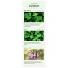 FOODAHOLIC Heartleaf Extract Cooling-Relief & Moisture-Soothing Gel 200ml