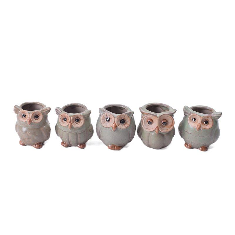 Ceramic Owl Succulent Flower Pot 0262 - Mini ZAKKA Animal Design