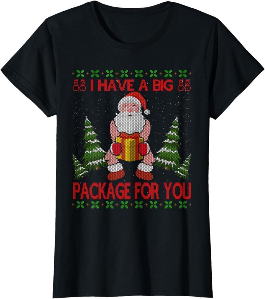 

I Have Big Package For You Santa Claus And Huge Box Ladies Crewneck T-Shirt Unisex T-Shirt M