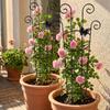Butterfly Shaped Plant Climbing Trellis Strong Load Bearing Vine Climbing Rack  Potted Plants