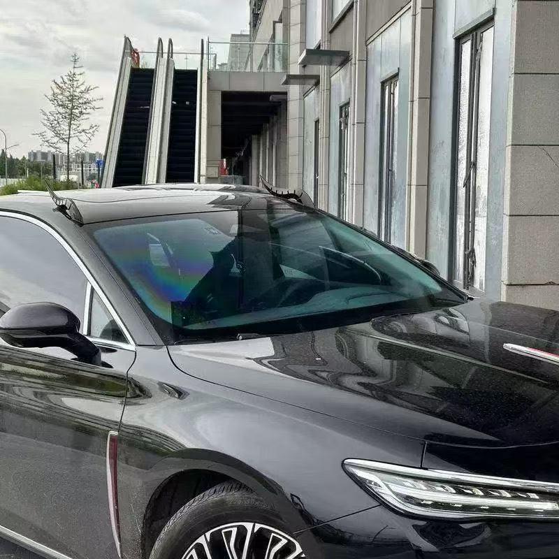 Gebogene Drachenhorn Auto Spoiler Finnen - Stilvoller Dachspoiler & Logo Dekoration