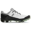 Running Cloudventure Peak White Leaf Women's 34.99001