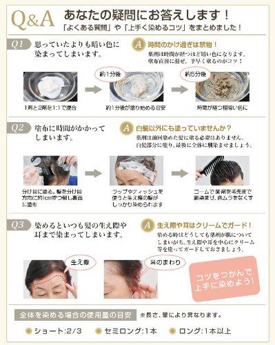 Phiten Top-on-Do D (gray hair dye) BE6 (light brown) x 2-pack