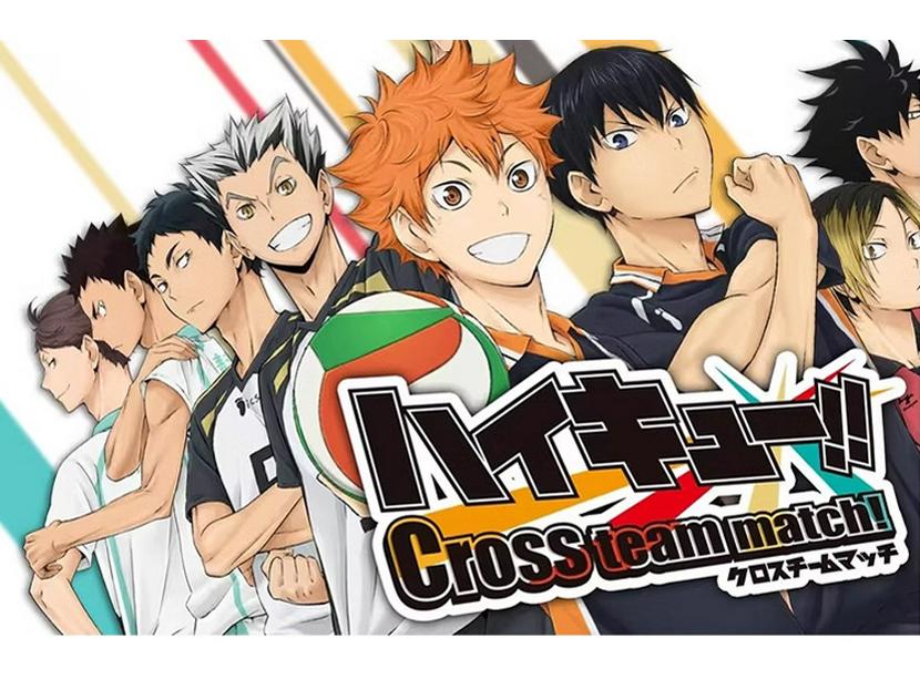 Haikyuu!! Bokuto & Hinata Black Wolves Volleyball Cosplay Summer Set