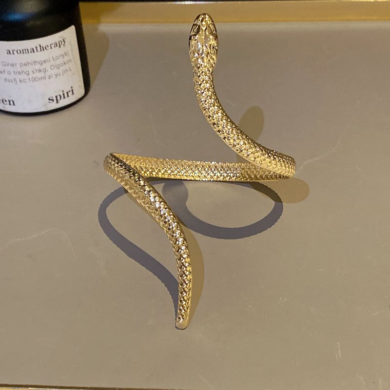 Style Special-Interest Design Snake-Shaped Armband Fashion, Personalized and Exaggerated Simulated Snakes Bracelet Metal Sweet Cool Sexy Arm Chain