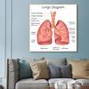 Human Organs Brain Liver Heart Anatomy Poster Print Canvas Painting Human Body Map Medical Classroom Office Room Home Decoration