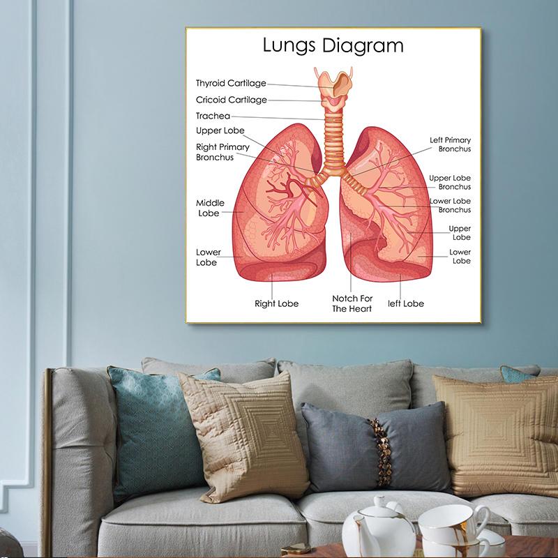 Human Organs Brain Liver Heart Anatomy Poster Print Canvas Painting Human Body Map Medical Classroom Office Room Home Decoration