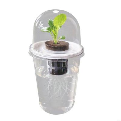 Hydroponics Growing Planting Container Hydroponics Supplies Plant Container for Vegetable Beet Canola Kitchen Accessories HX6C