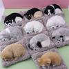 Simulated Kitten Meow Bamboo Charcoal Deodorizing Plush Cushion for Car & Home Decoration
