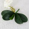 Green Artificial Plant Plastic Plastic Leaves Simulation Plant Real Touch Orchid  Home Decor