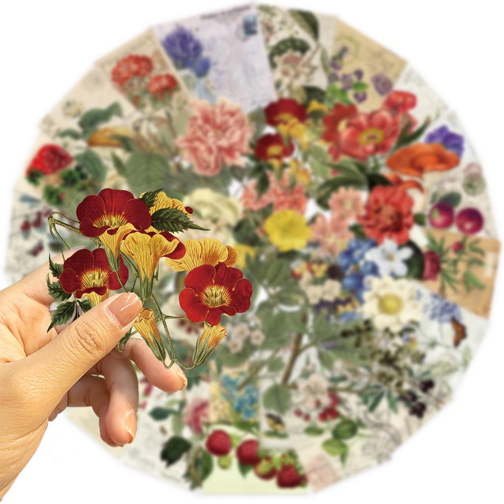 50 Transparent Cartoon Retro Plant Sticker Pack Waterproof Transparent PET Hand Account Decorative Guitar Notebook