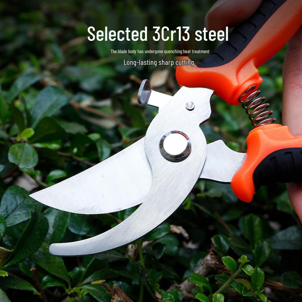 Stainless Steel Multifunctional Pruning Shears for Fruit Picking, Flowers, and Grafting.