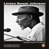 Selected Poems by Linton Kwesi Johnson Paperback Book 9780241994115