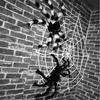 Lebendige Bunte Spinnen Halloween Dekoration Für Fesselnde Indoor- und Outdoor-Spukhaus-Atmosphäre
