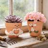 Decorațiuni pentru casă – Ghivece de flori decorative