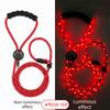 Guinzaglio Luminoso per Animali Domestici con Ricarica USB Super Luminoso LED Guinzaglio per Passeggiate con Cani Guinzaglio Illuminato Escursionismo Notturno