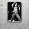 Robert Plant Band Vintage Metal Tin Signs Posters Decor Retro Metal Plaque Wall Art Decor for Garage Bar