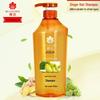 Fong Hua Ginger Hair Strengthening Shampoo